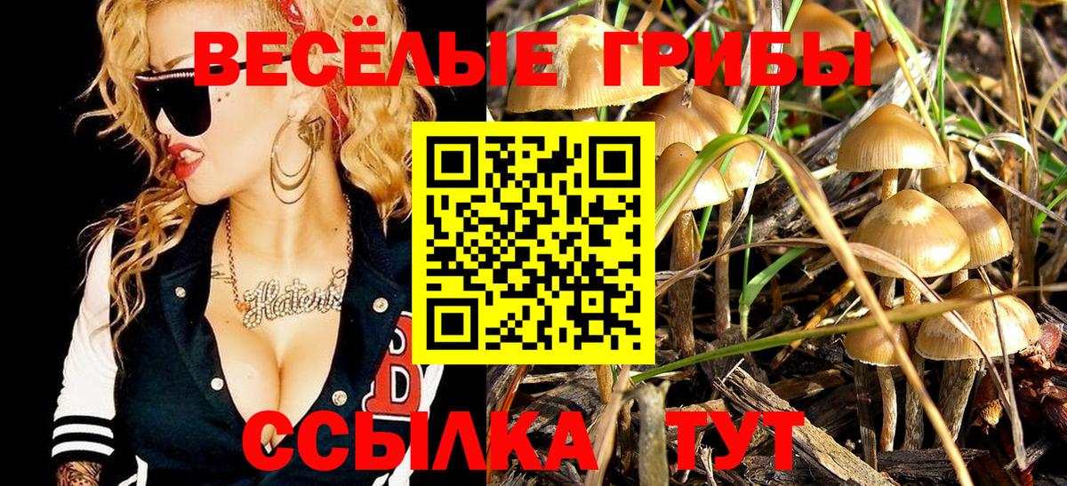 как найти наркотики  Псилоцибиновые грибы прущие грибы  Алатырь  Вход с VPN  Псилоцибиновые грибы ЛСД 