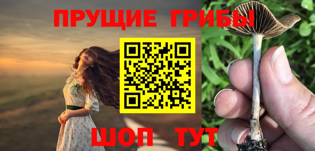Псилоцибиновые грибы Magic Shrooms Алатырь